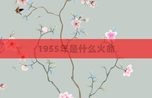 1955年是什么火命