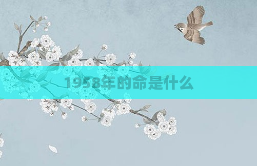 1958年的命是什么