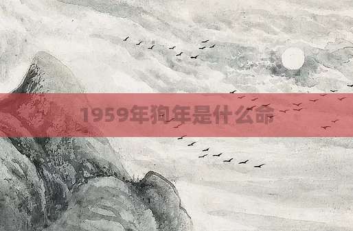 1959年狗年是什么命