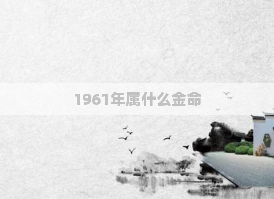 1961年属什么金命