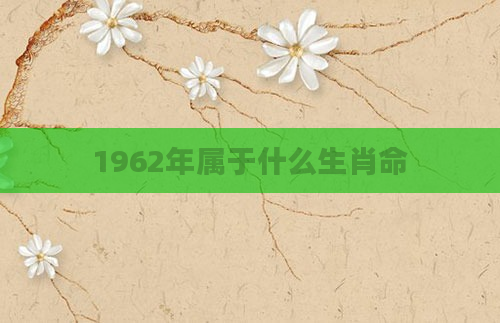 1962年属于什么生肖命