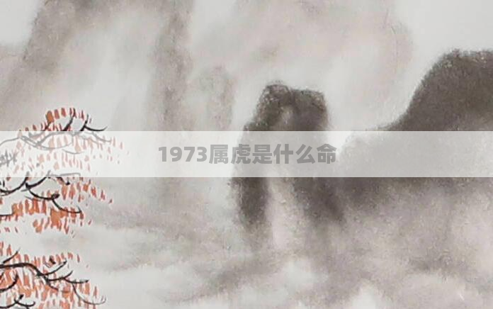 1973属虎是什么命