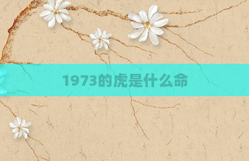 1973的虎是什么命