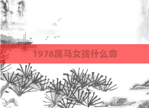 1978属马女孩什么命