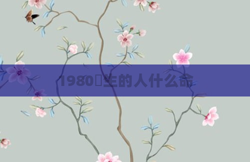 1980岀生的人什么命