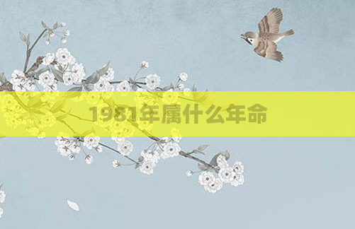 1981年属什么年命