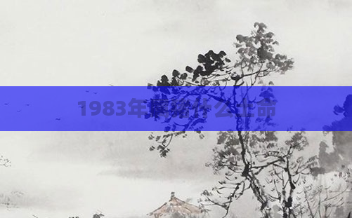 1983年属猪什么土命