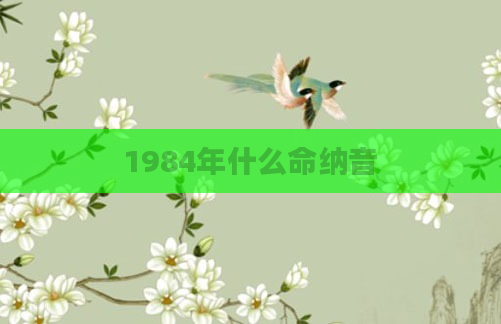 1984年什么命纳音