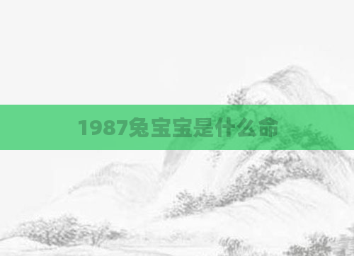 1987兔宝宝是什么命