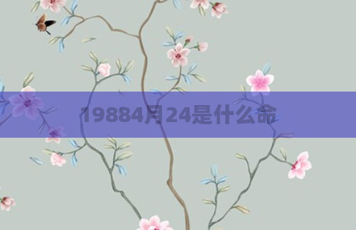 19884月24是什么命