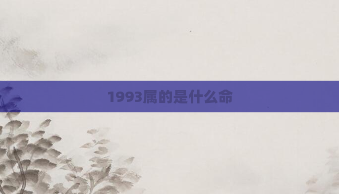 1993属的是什么命