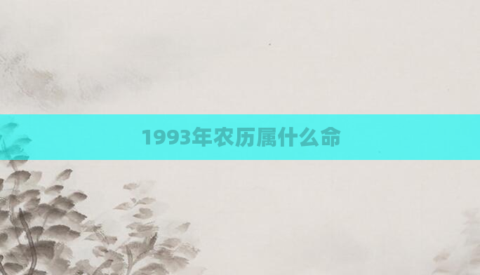 1993年农历属什么命