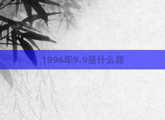 1996年9.9是什么命