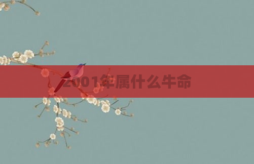 2001年属什么牛命
