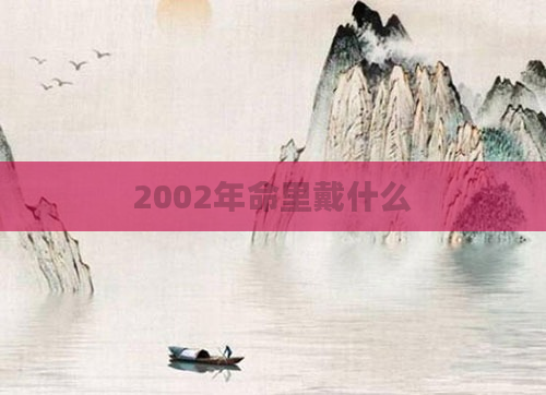 2002年命里戴什么