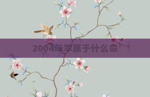 2004年羊属于什么命