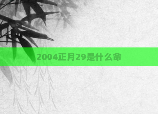 2004正月29是什么命