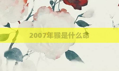 2007年猴是什么命