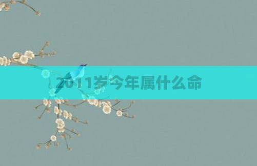 2011岁今年属什么命