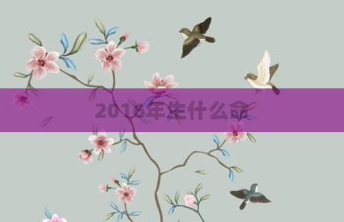 2016年生什么命