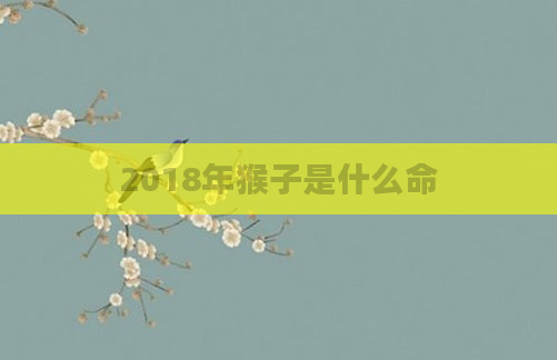 2018年猴子是什么命