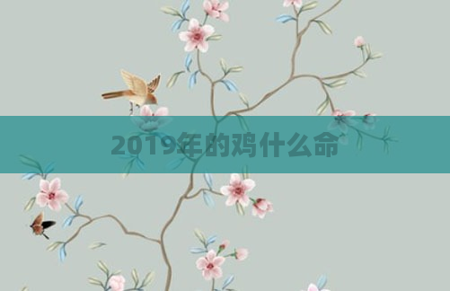 2019年的鸡什么命