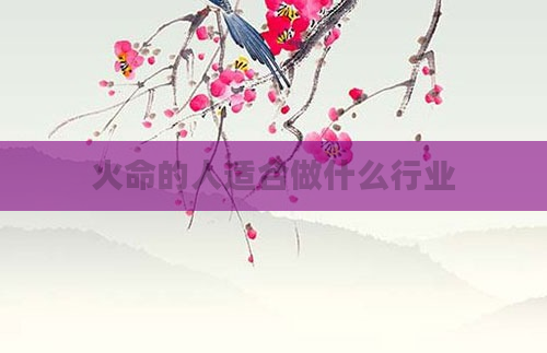 火命的人适合做什么行业