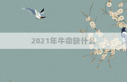 2021年牛命缺什么