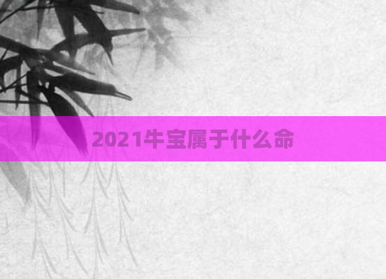2021牛宝属于什么命