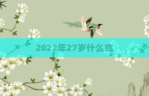 2022年27岁什么命