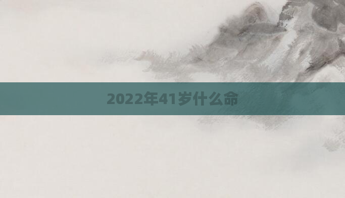 2022年41岁什么命