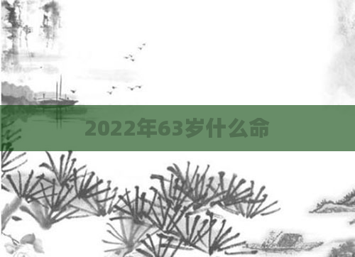 2022年63岁什么命