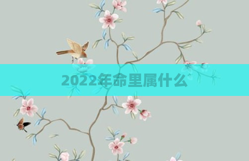 2022年命里属什么