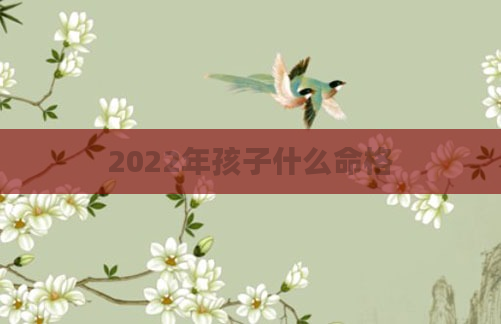 2022年孩子什么命格