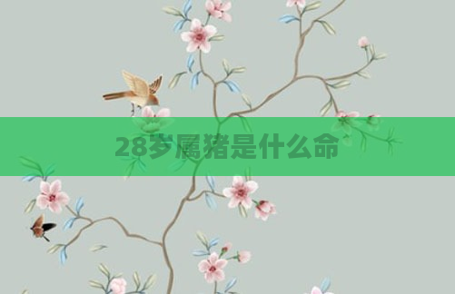 28岁属猪是什么命