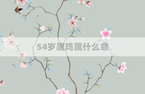 54岁属鸡属什么命