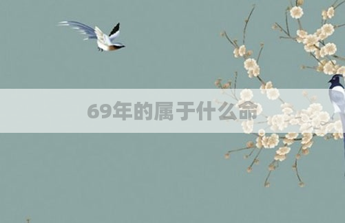 69年的属于什么命