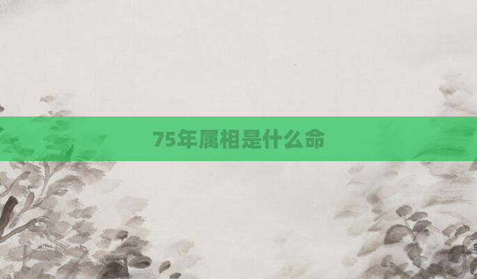 75年属相是什么命