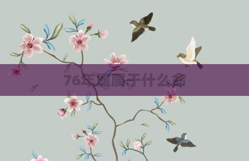 76年属属于什么命