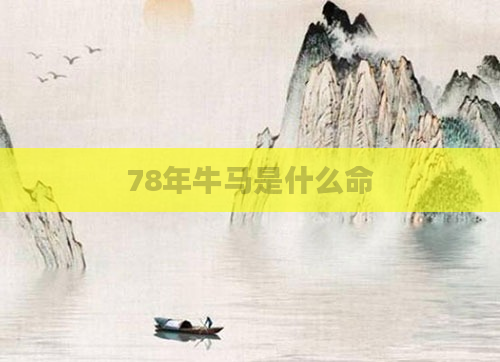 78年牛马是什么命