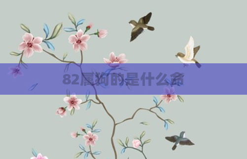 82属狗的是什么命