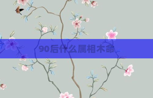 90后什么属相木命