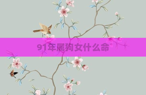 91年属狗女什么命