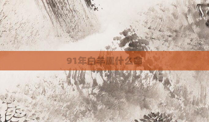 91年白羊属什么命