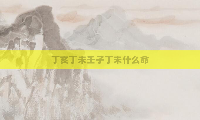 丁亥丁未壬子丁未什么命