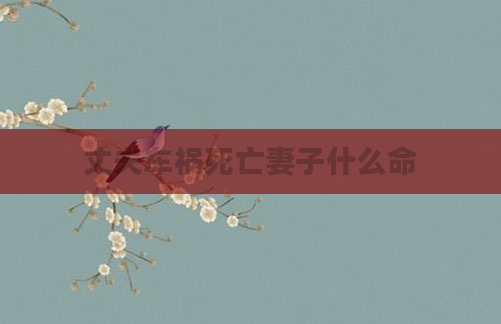 丈夫车祸死亡妻子什么命