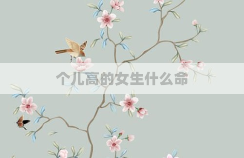 个儿高的女生什么命