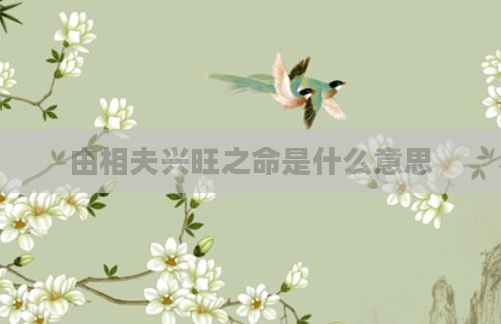 由相夫兴旺之命是什么意思