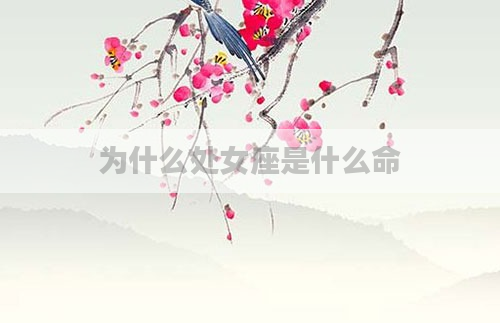 为什么处女座是什么命