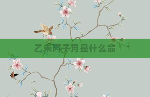 乙未丙子月是什么命